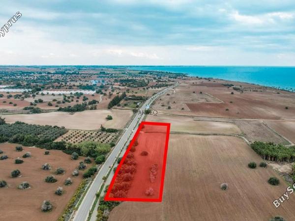 land for sale mazotos larnaca 958760 image 6411663