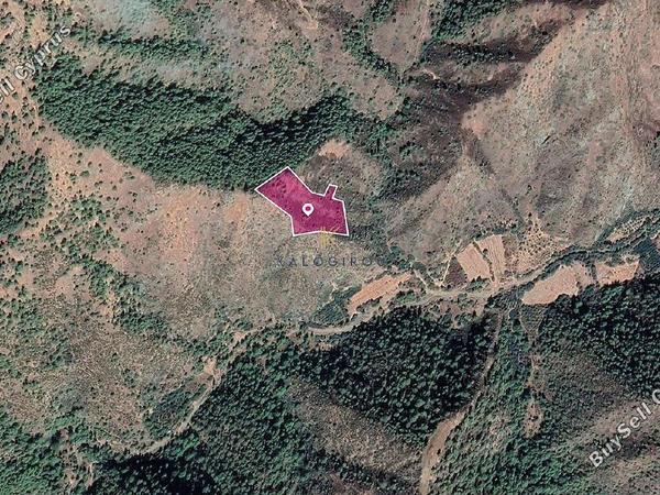 land for sale pigenia nicosia 1649760 image 10050291