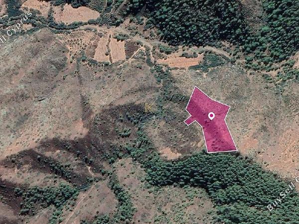 land for sale pigenia nicosia 1649760 image 10050302