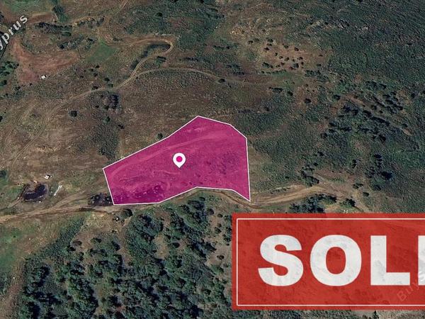 land sold pigenia nicosia 1181760 image 3558371
