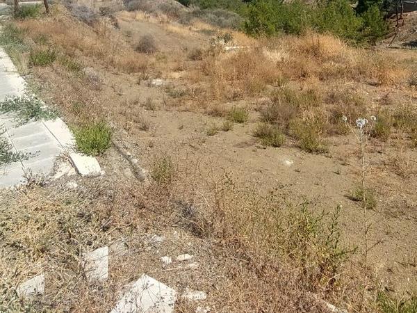plot for sale argaka paphos 7836760 image 10758417