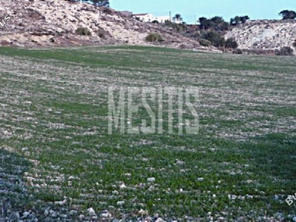 plot for sale mazotos larnaca 1820760 image 10531198