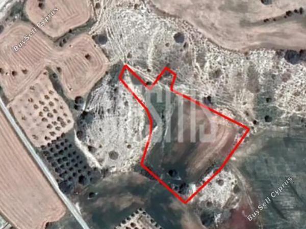 plot for sale mazotos larnaca 1820760 image 10531199