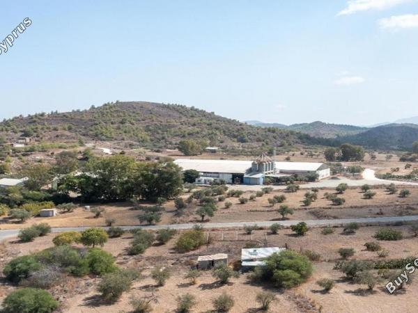 studio industrial building for sale agia varvara nicosias nicosia 8151760 image 16159456