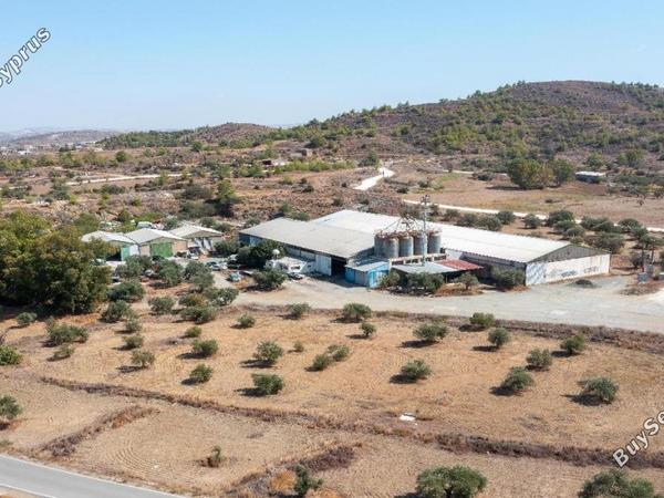 studio industrial building for sale agia varvara nicosias nicosia 8151760 image 16159458