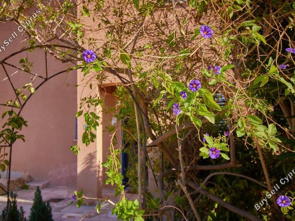 3 bedroom town house for sale kato paphos paphos 1766860 image 12704233
