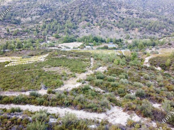 land for sale agios mamas limassol 7961860 image 11420624