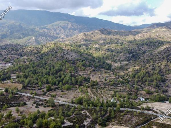 land for sale agios mamas limassol 7961860 image 11420625