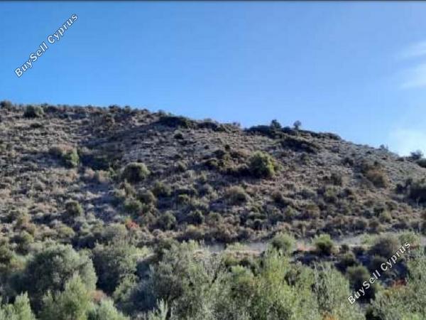 land for sale kalavasos larnaca 1262860 image 2016379