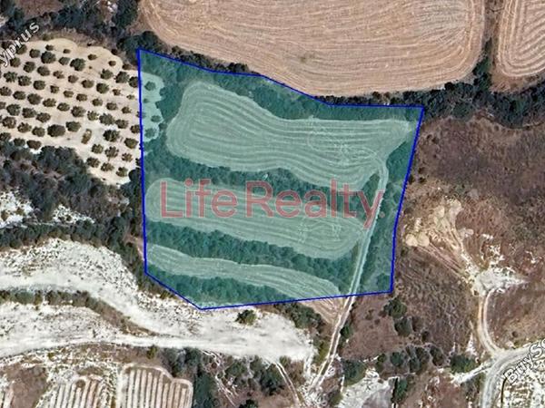 land for sale pissouri limassol 1616860 image 6608476