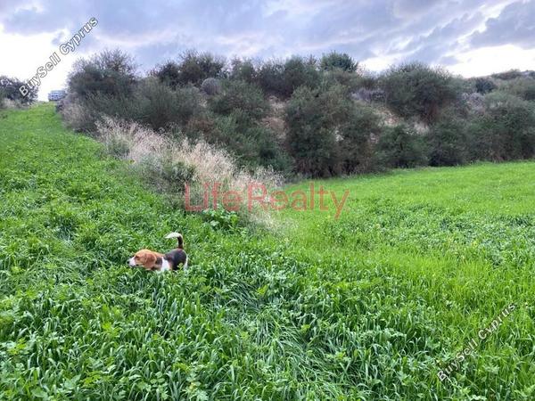 land for sale pissouri limassol 1616860 image 6608478