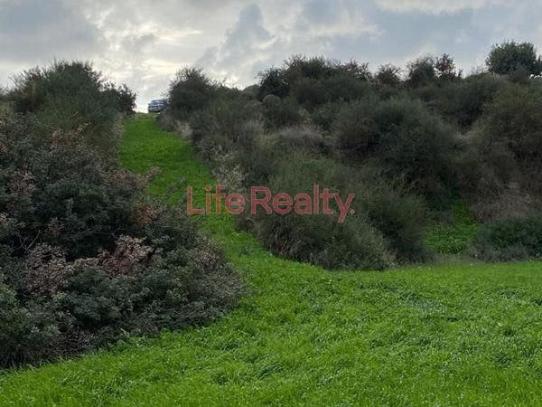 land for sale pissouri limassol 1616860 image 6608479
