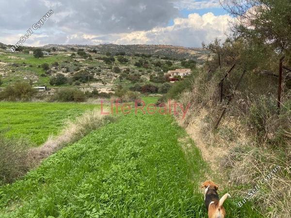 land for sale pissouri limassol 1616860 image 6608483