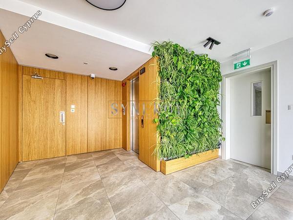 2 bedroom apartment for rent katholiki limassol 8151960 image 16032667