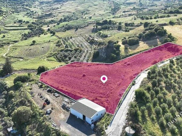 land for sale kannaviou paphos 1354960 image 15885246