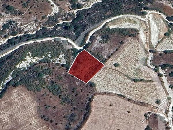 land for sale salamiou paphos 8542960 image 16305581