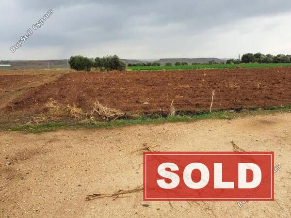 land sold orounta nicosia 945960 image 848575