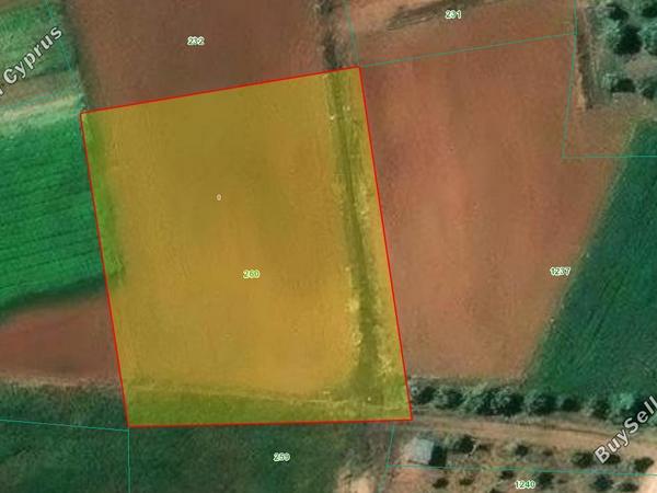 land for sale akaki nicosia 8662070 image 15985481
