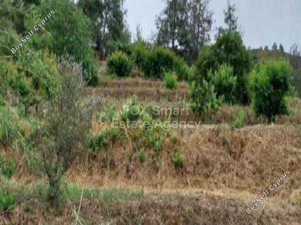 land for sale kakopetria nicosia 8473070 image 15215389