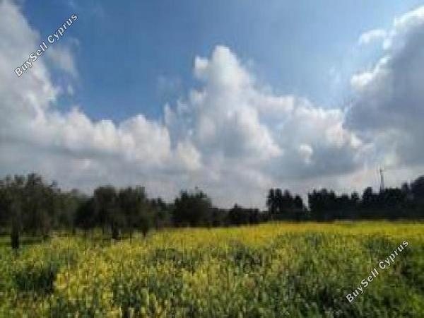 land for sale kornos larnaca 8705070 image 16242614