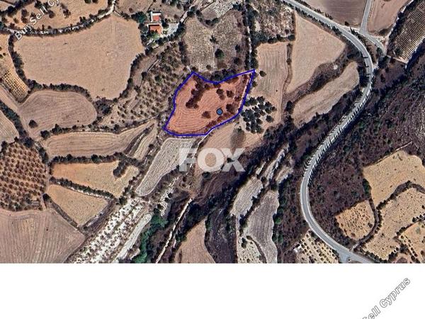 land for sale lasa paphos 1794070 image 14830224