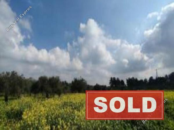 land sold kornos larnaca 8705070 image 16242614