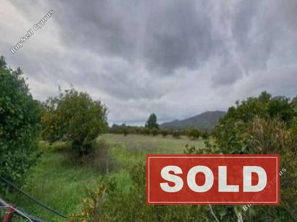 land sold kornos larnaca 8705070 image 16242615