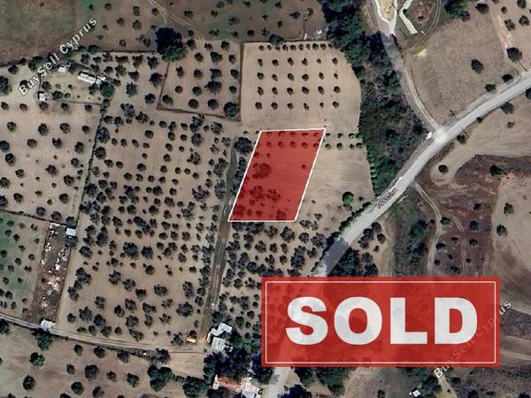 land sold kornos larnaca 8705070 image 16242616