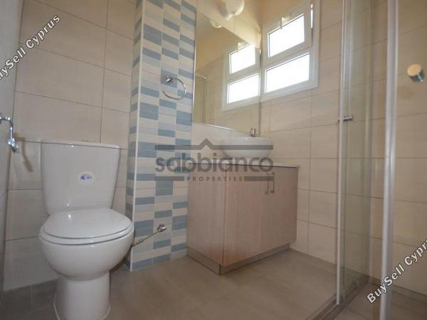 3 bedroom detached house for sale tombs of the kings paphos 8747170 image 16448928