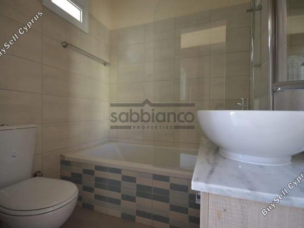 3 bedroom detached house for sale tombs of the kings paphos 8747170 image 16448934
