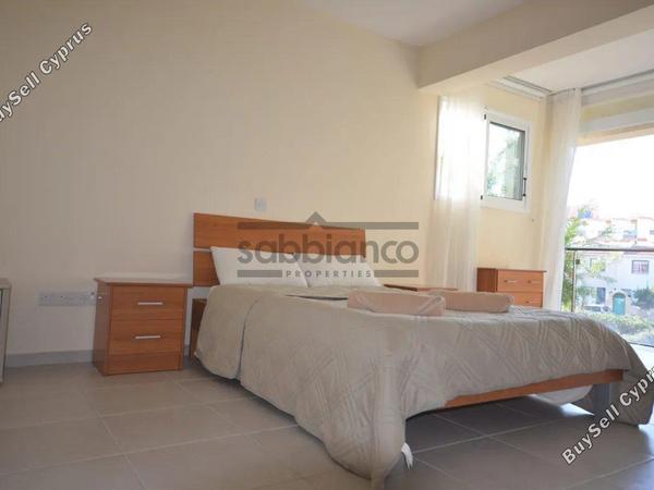 3 bedroom detached house for sale tombs of the kings paphos 8747170 image 16448939