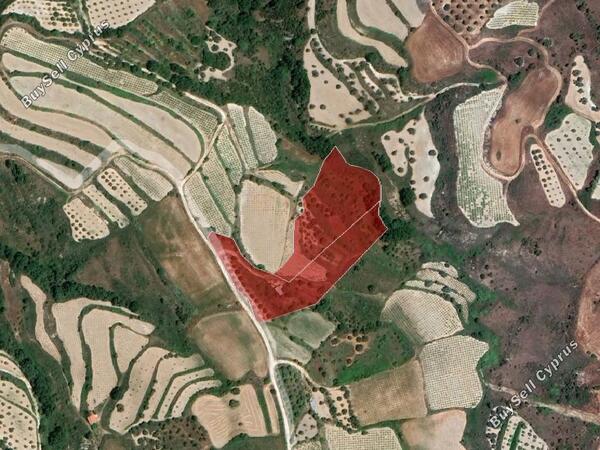land for sale theletra paphos 982170 image 917816