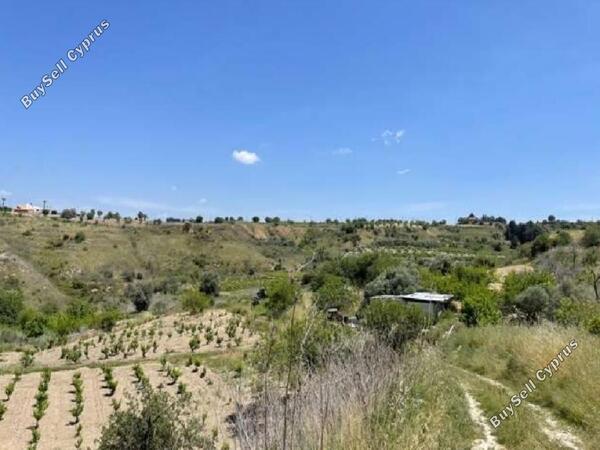 land for sale theletra paphos 982170 image 917817