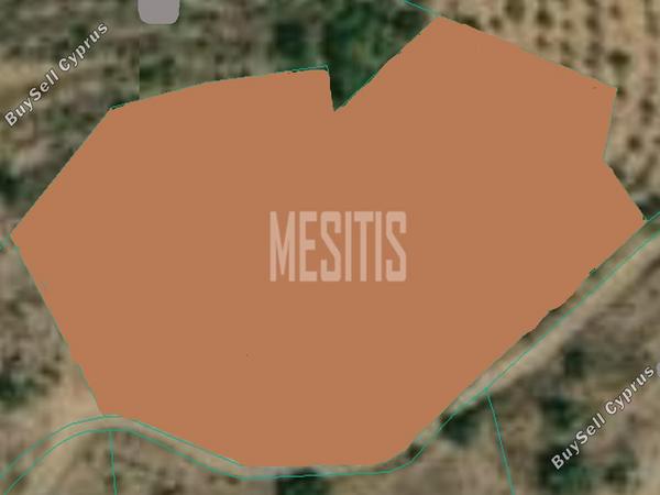 land for sale xyliatos nicosia 975170 image 10476789