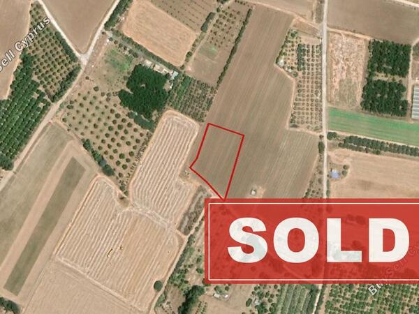 land sold timi paphos 853170 image 719905