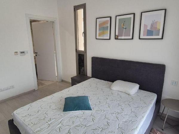 1 bedroom apartment for rent germasogeia limassol 8634270 image 16454967