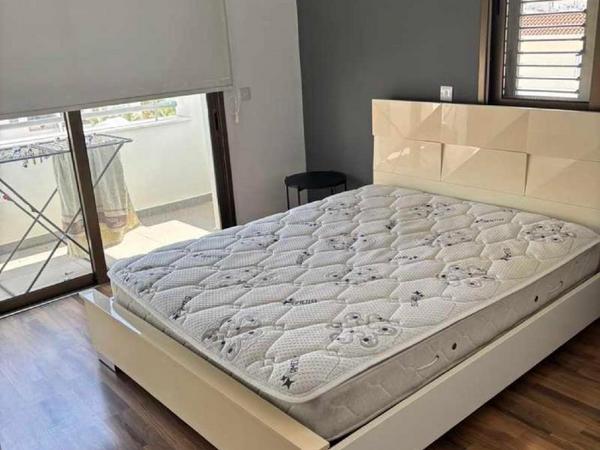 2 bedroom apartment for rent makedonitissa nicosia 8626270 image 15994724
