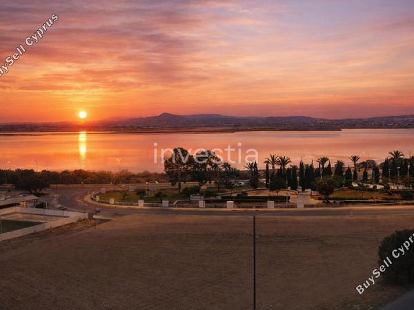 2 bedroom apartment for sale mackenzie larnaca 1706270 image 16226711
