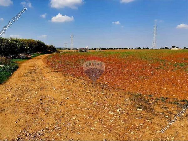 land for sale ormideia larnaca 7993270 image 14128544