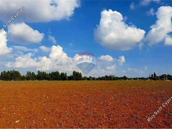 land for sale ormideia larnaca 7993270 image 14128560