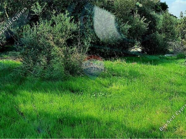 land for sale ormideia larnaca 7993270 image 17065551