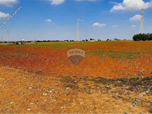 land for sale ormideia larnaca 7993270 image 17065556
