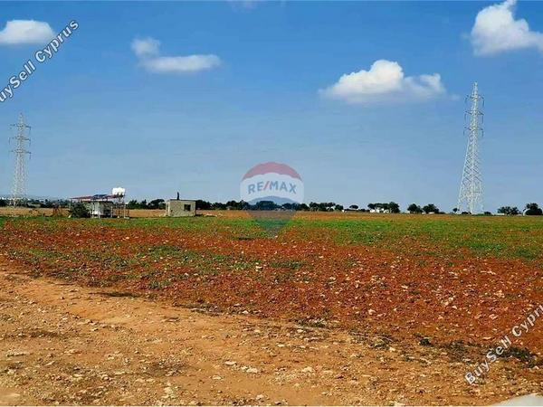 land for sale ormideia larnaca 7993270 image 17065557