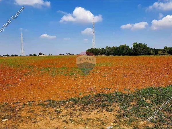 land for sale ormideia larnaca 7993270 image 17065559