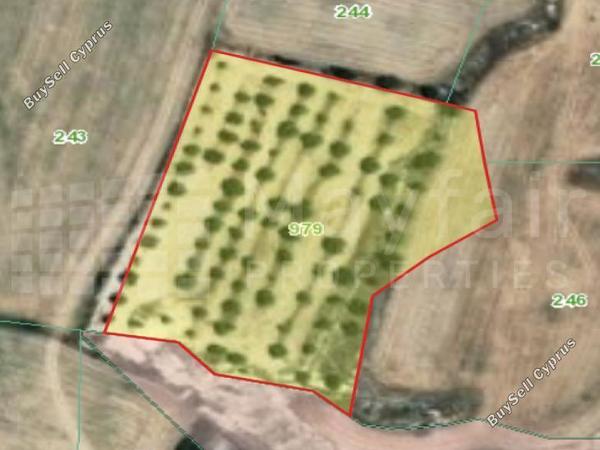 land for sale oroklini larnaca 8434270 image 15007153
