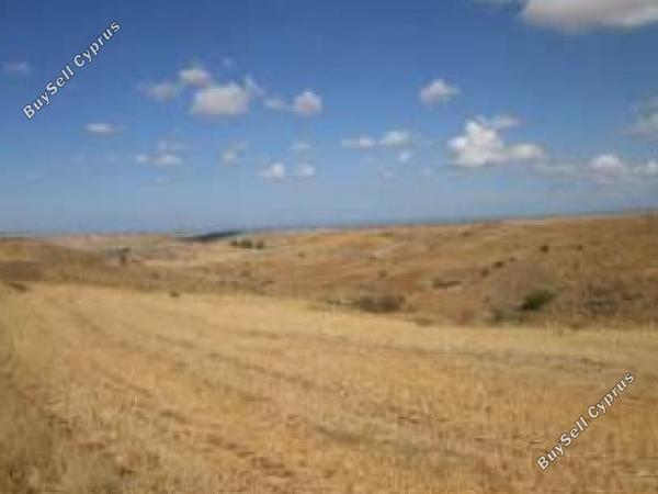land for sale orounta nicosia 1084270 image 15600669