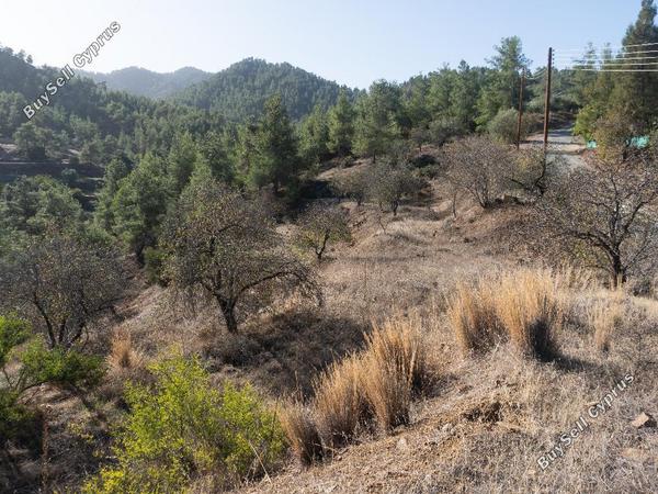 land for sale xyliatos nicosia 946270 image 2988154