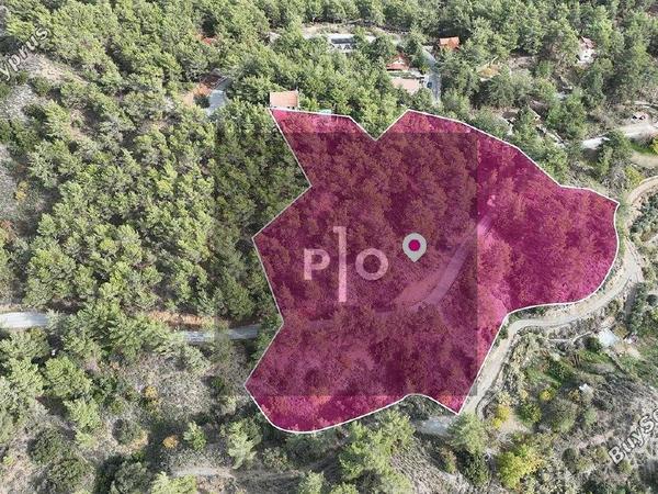 plot for sale pera pedi limassol 8275270 image 15158799