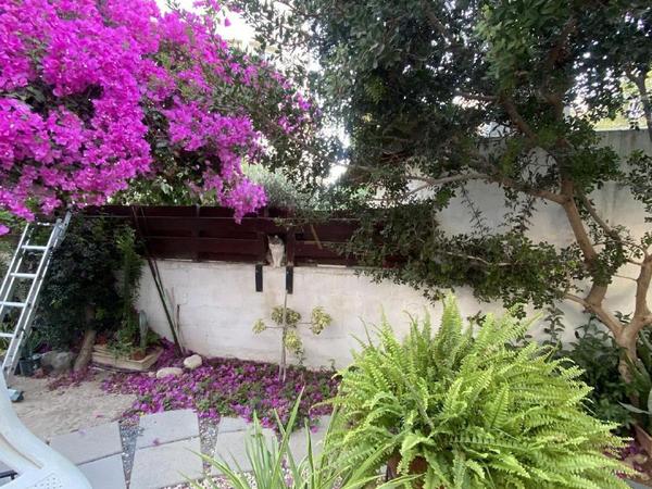 3 bedroom detached house for sale agios athanasios limassol 1873370 image 14516289
