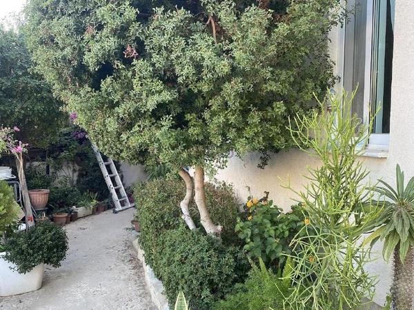 3 bedroom detached house for sale agios athanasios limassol 1873370 image 14516292
